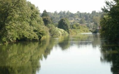 Getting to know the Green/Duwamish Watershed