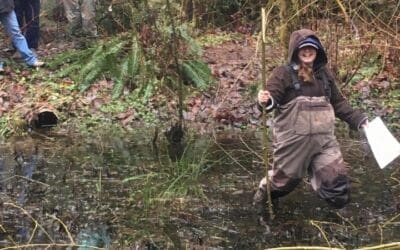 Amphibian Monitoring with Woodland Park Zoo