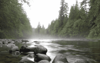 The Cedar River Watershed