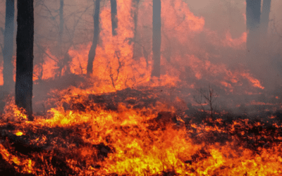 Where there’s smoke…