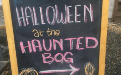 Halloween in the Haunted Peat Bog Wrap Up