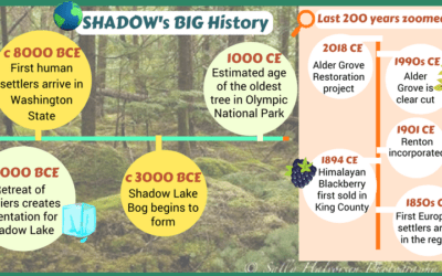 SHADOW’s Alder Grove