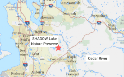 Its All Connected: 2018 Green-Duwamish Watershed Symposium