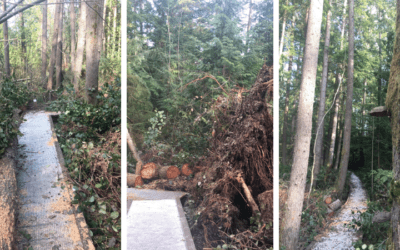 Spring is Here and the Boardwalk is Open!