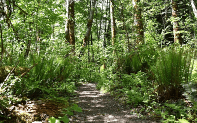 SHADOW’s Mission Makeover