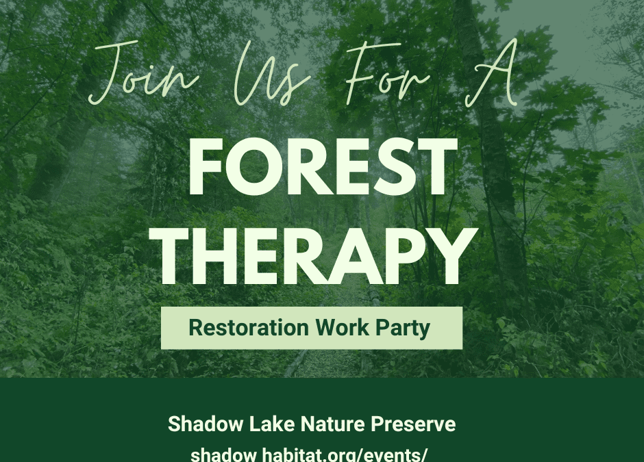 Mindful Restoration Workparty with Cascadia Forest Therapy!