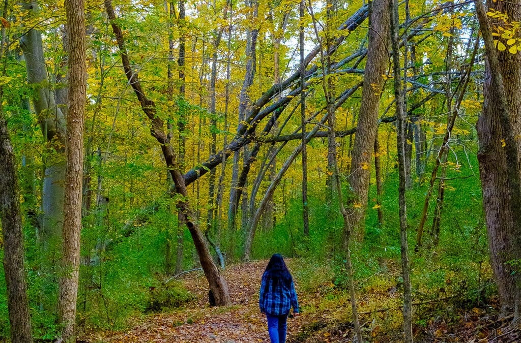 Showing Love for the Environment and Yourself