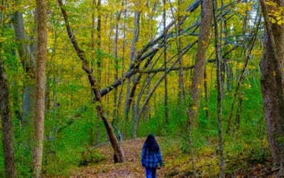 Showing Love for the Environment and Yourself