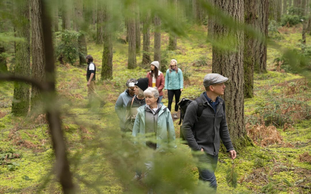 Guided Forest Meditation: Winter Wellness Walk