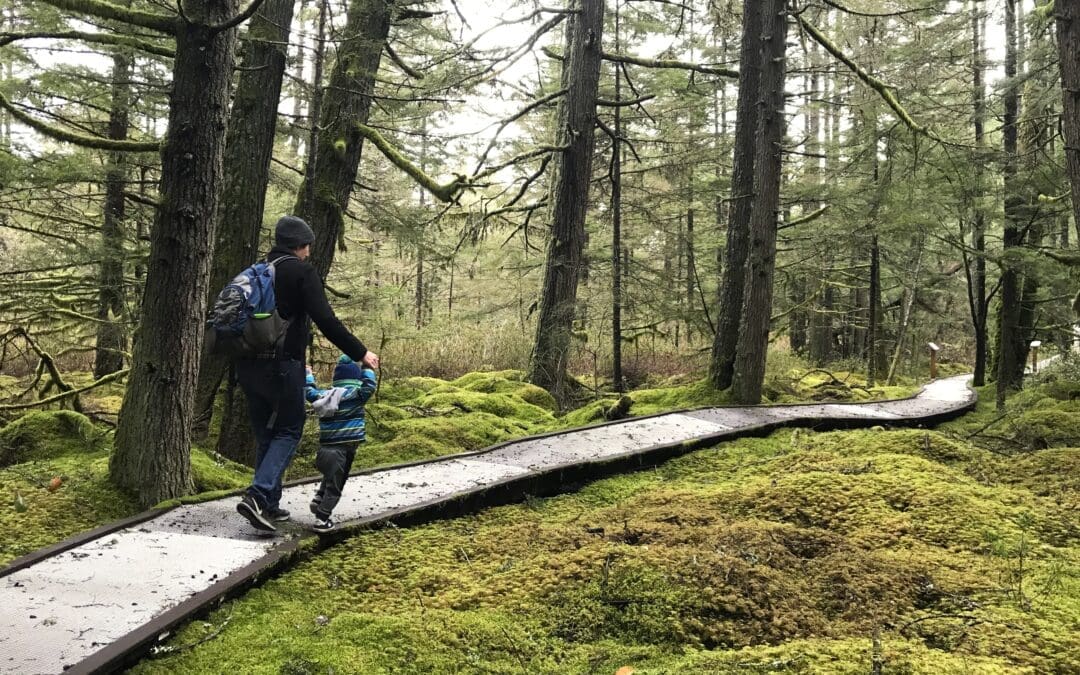 Guided Nature Walk: All Things Bog